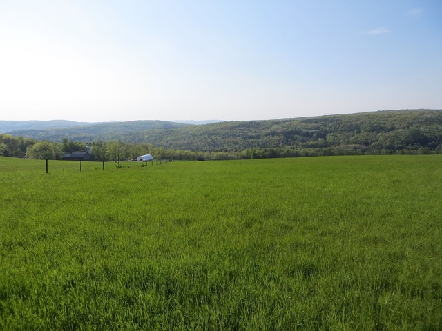 250 Gardner Rd, Vestal