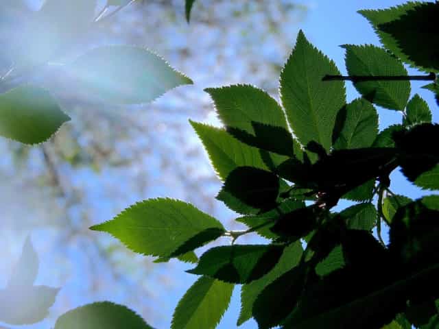 UPDATED DATE: Broome County IDA to Hold Public Hearing on Broome Technology Park Environmental Review April 23